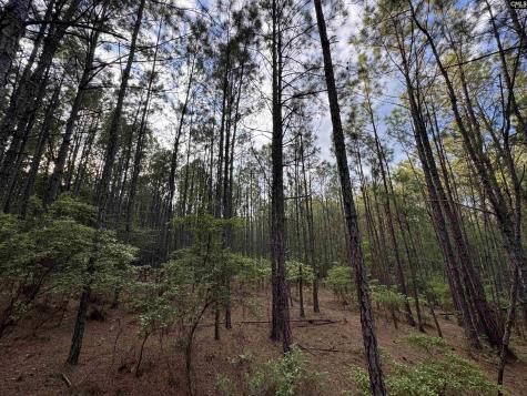 1465 6 Highway Gaston SC 29053
