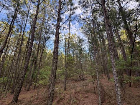 1465 6 Highway Gaston SC 29053