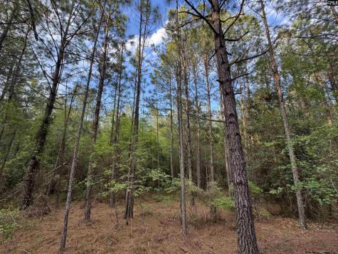 1465 6 Highway Gaston SC 29053