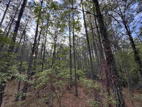 1465 6 Highway Gaston SC 29053