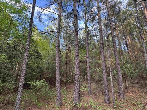 1465 6 Highway Gaston SC 29053