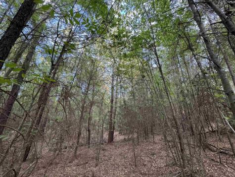 1465 6 Highway Gaston SC 29053