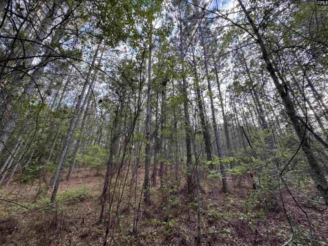 1465 6 Highway Gaston SC 29053