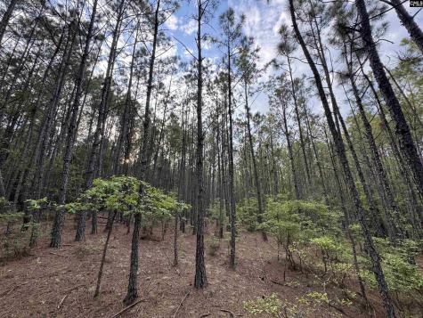 1465 6 Highway Gaston SC 29053