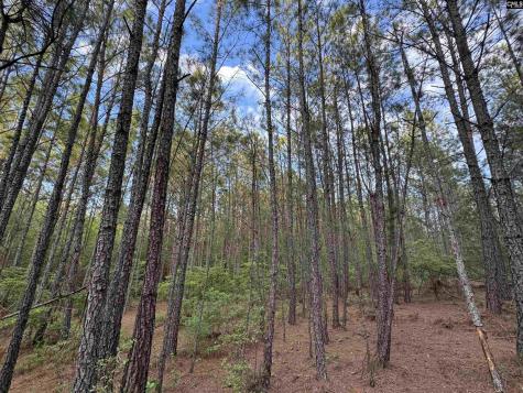 1465 6 Highway Gaston SC 29053