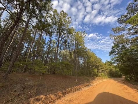 1465 6 Highway Gaston SC 29053