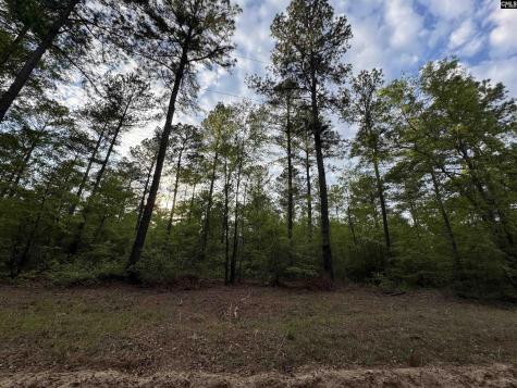 1465 6 Highway Gaston SC 29053