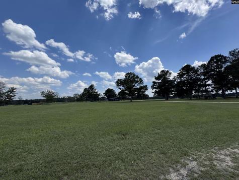 1465 6 Highway Gaston SC 29053