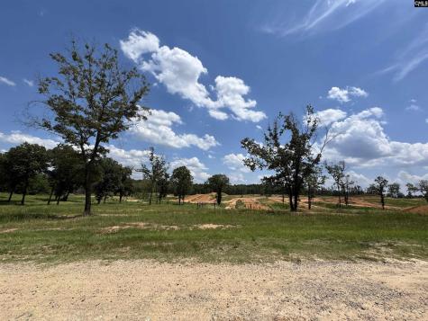 1465 6 Highway Gaston SC 29053