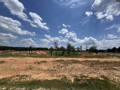 1465 6 Highway Gaston SC 29053