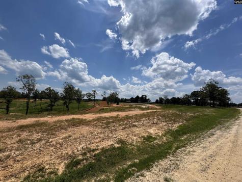 1465 6 Highway Gaston SC 29053
