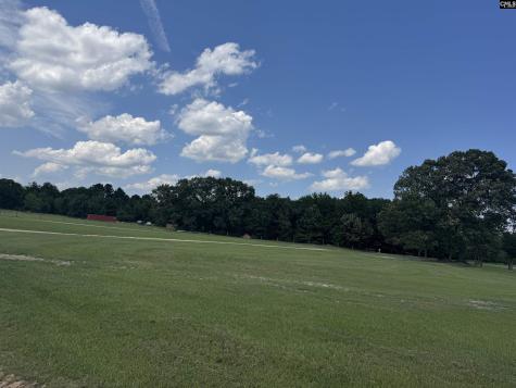1465 6 Highway Gaston SC 29053