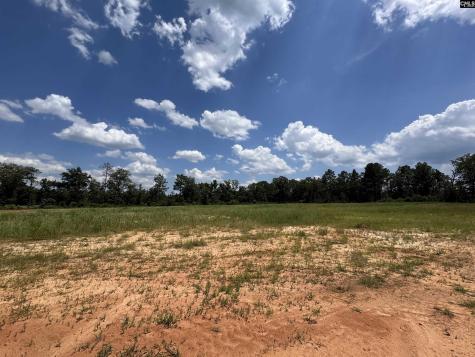 1465 6 Highway Gaston SC 29053