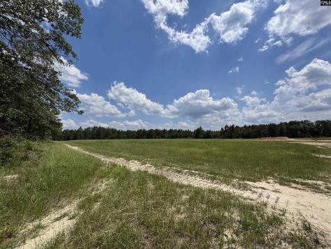 1465 6 Highway Gaston SC 29053