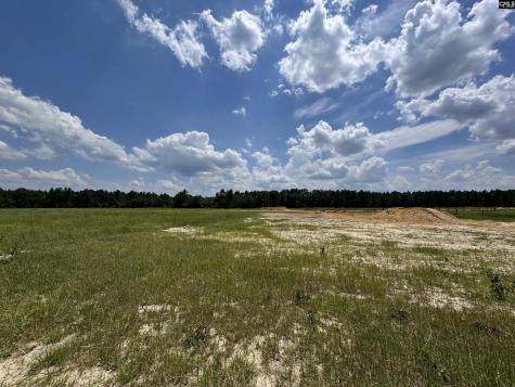 1465 6 Highway Gaston SC 29053