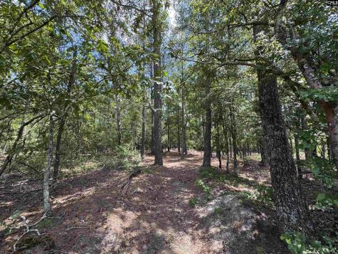 1465 6 Highway Gaston SC 29053