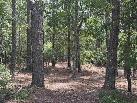 1465 6 Highway Gaston SC 29053