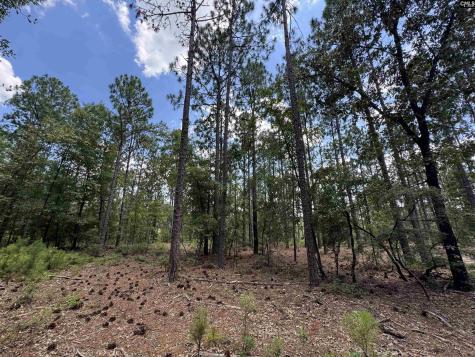1465 6 Highway Gaston SC 29053
