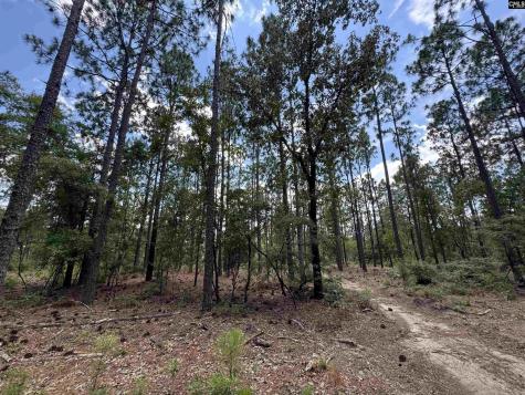 1465 6 Highway Gaston SC 29053