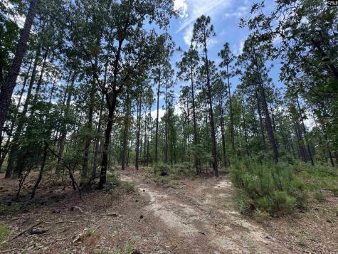 1465 6 Highway Gaston SC 29053
