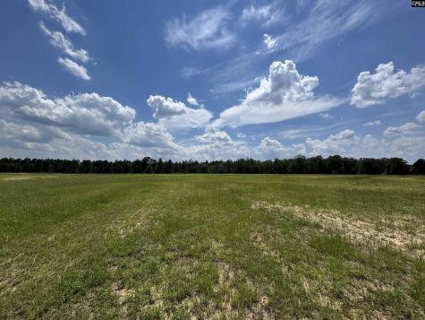 1465 6 Highway Gaston SC 29053