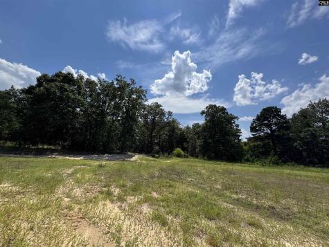 1465 6 Highway Gaston SC 29053