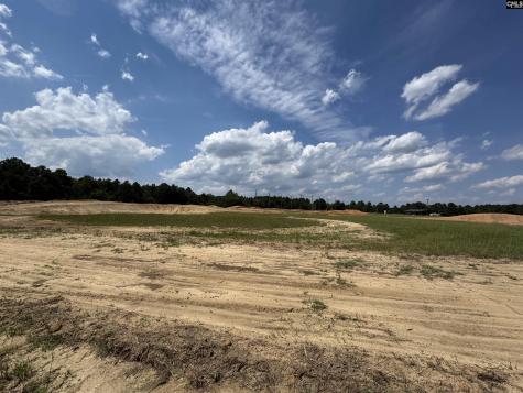 1465 6 Highway Gaston SC 29053