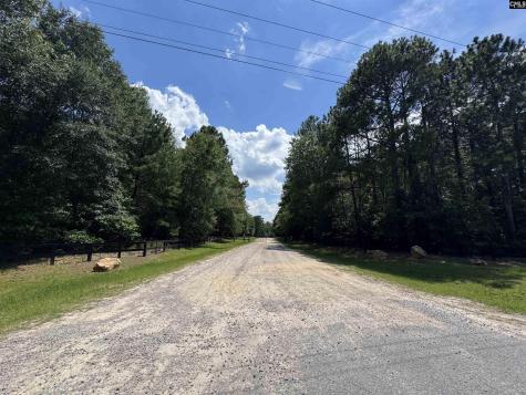 1465 6 Highway Gaston SC 29053
