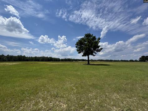 1465 6 Highway Gaston SC 29053