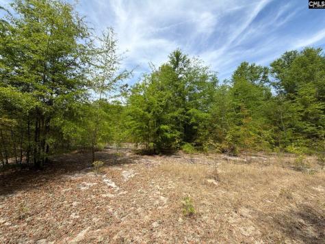 Rrf 5 Rogers Cemetery Road Salley SC 29137