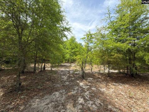 Rrf 5 Rogers Cemetery Road Salley SC 29137
