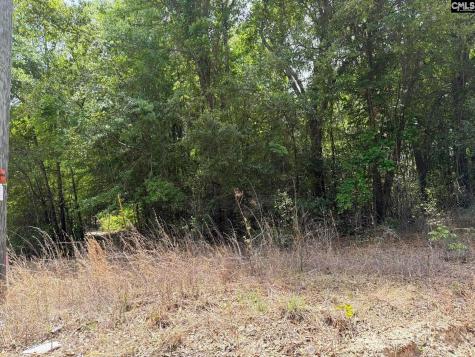 Rrf 5 Rogers Cemetery Road Salley SC 29137