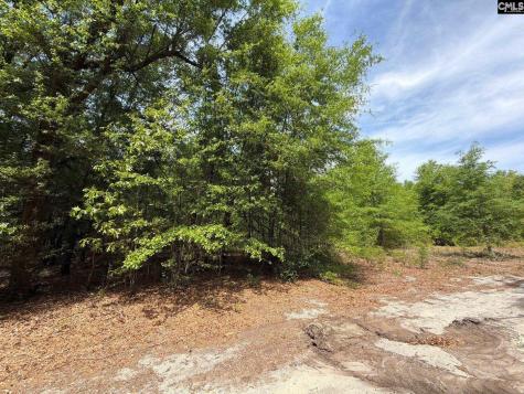 Rrf 5 Rogers Cemetery Road Salley SC 29137