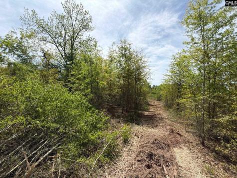 Rrf 5 Rogers Cemetery Road Salley SC 29137