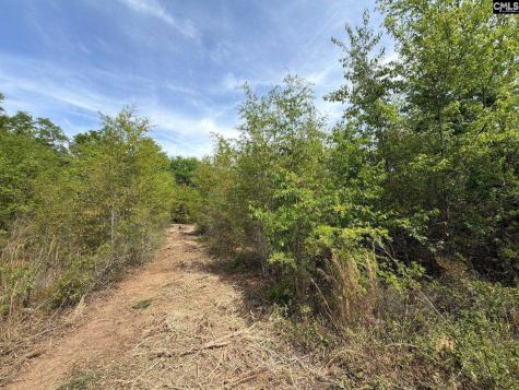 Rrf 5 Rogers Cemetery Road Salley SC 29137