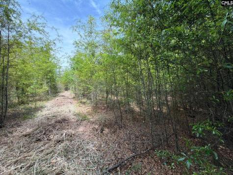 Rrf 5 Rogers Cemetery Road Salley SC 29137