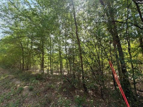 Rrf 5 Rogers Cemetery Road Salley SC 29137