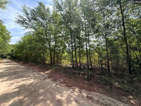 Rrf 5 Rogers Cemetery Road Salley SC 29137