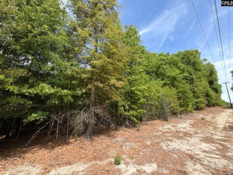 Rrf 5 Rogers Cemetery Road Salley SC 29137