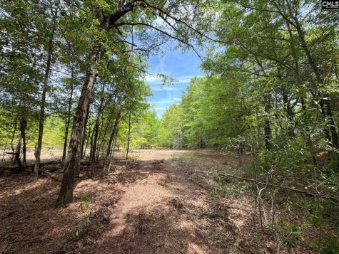 Rrf 5 Rogers Cemetery Road Salley SC 29137