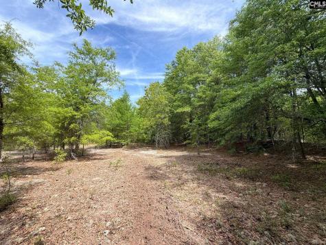Rrf 5 Rogers Cemetery Road Salley SC 29137