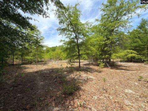Rrf 5 Rogers Cemetery Road Salley SC 29137