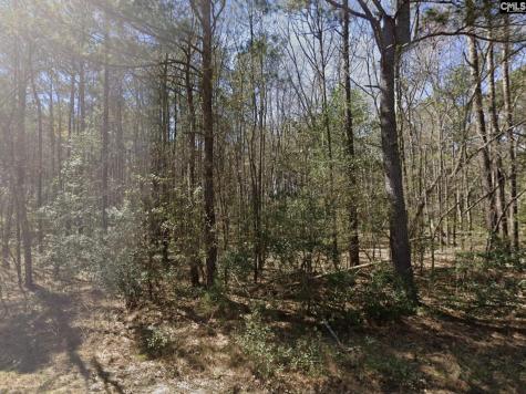 0 Barnhart Road Orangeburg SC 29115