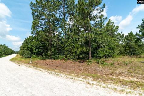 216 Hound Hollow Drive Camden SC 29020