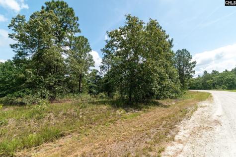 236 Hound Hollow Drive Camden SC 29020