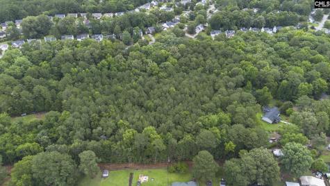 129 Dutch Village Drive Irmo SC 29063