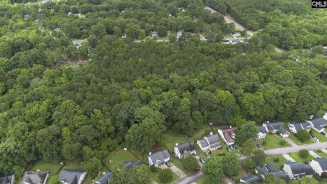 129 Dutch Village Drive Irmo SC 29063