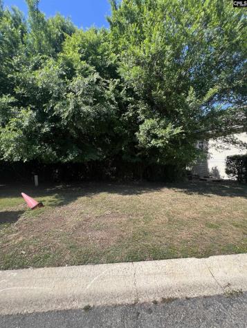 357 Canal Place Drive Columbia SC 29201