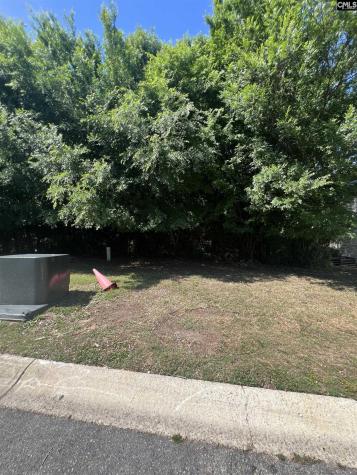 357 Canal Place Drive Columbia SC 29201