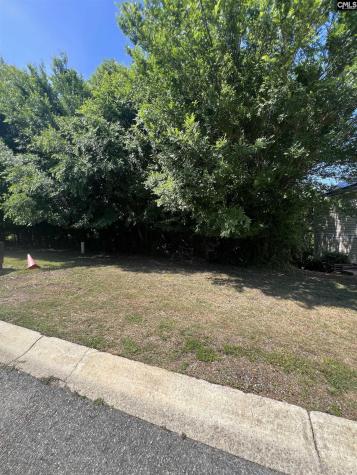 357 Canal Place Drive Columbia SC 29201